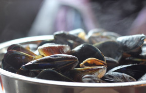 mejillón