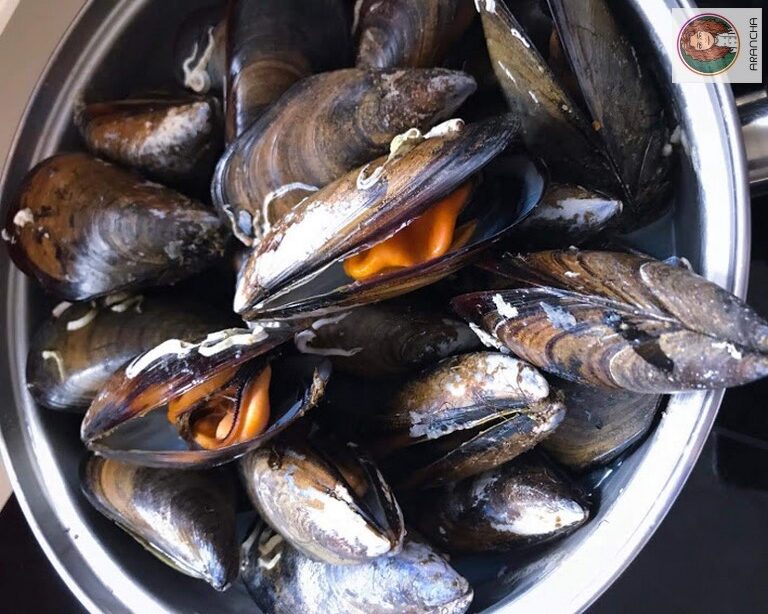 Al Rico Mejillón! Recetas que os van enamorar estas fiestas