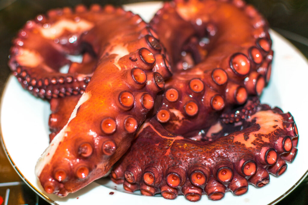 pulpo gallego