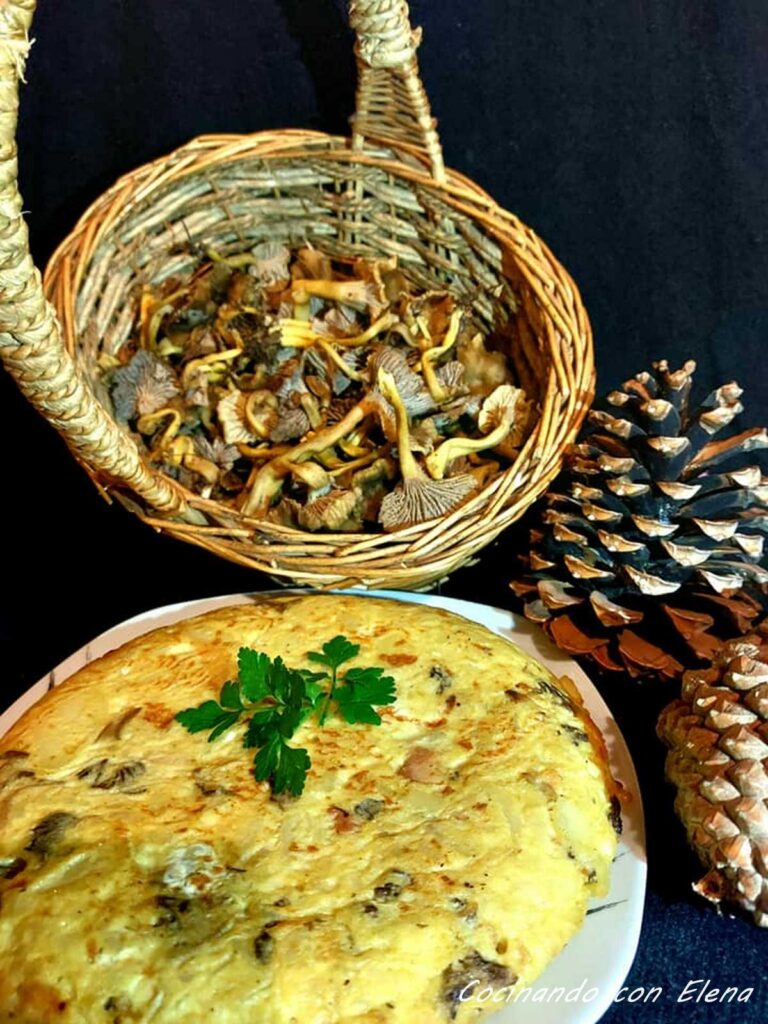 Cantharellus la angula del monte o trompeta amarilla