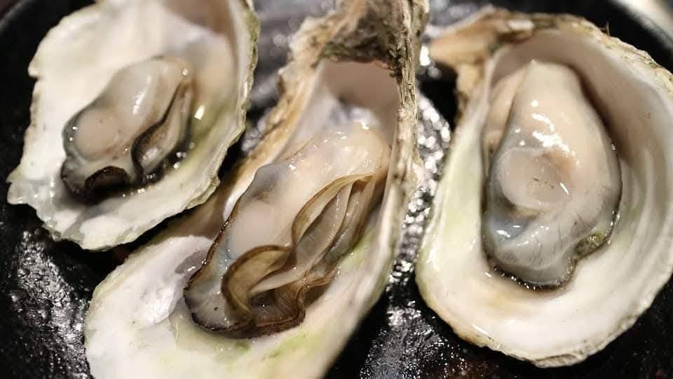 ostras
